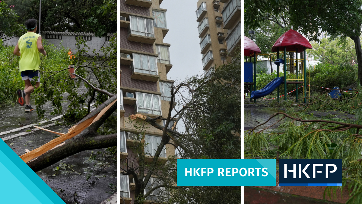 Green group calls on Hong Kong wood recycling plant to step up efforts, transparency in wake of super typhoon