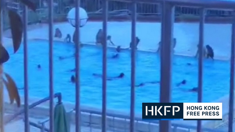 Monkeys swim in a swimming pool