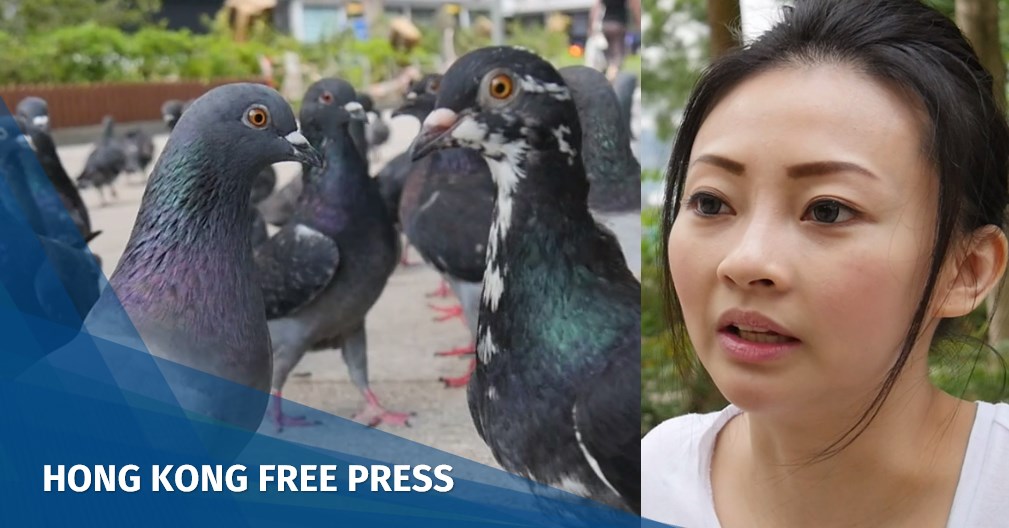 Video: Hong Kong Humans – The pigeon protectors defying public disdain and the law